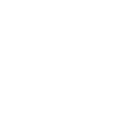 Search and Explore