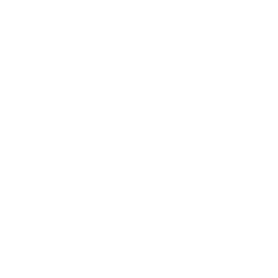 Secure Payment